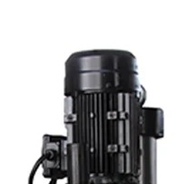 洋楽 G-RAP Southern Kumfort Caixa Térmica Everest Cinza 66l Eficiência 120 Horas Soprano